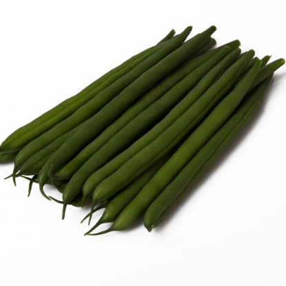 Picture of Dwarf French Beans Rimember - Treated Seed (Apron)